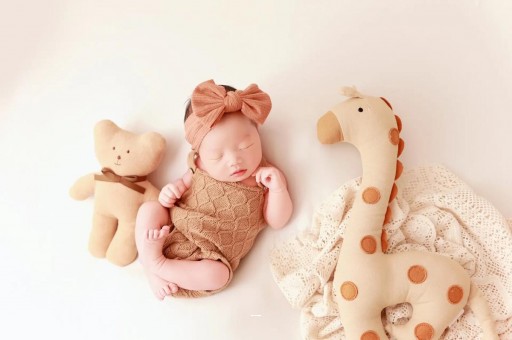 国内孕妈试管代孕nt是什么意思 国内孕妈试管代孕nt是什么意思